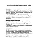 Konspekts 'Kārļa Skalbes tikumi, kuri būtu nepieciešami šodien', 1.