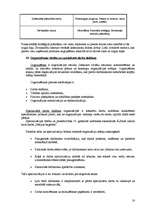 Konspekts 'Vadības teorija', 18.