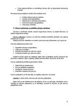 Konspekts 'Vadības teorija', 19.