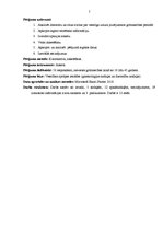 Referāts 'Sieviešu ēšanas paradumi un to iespējamās izmaiņas grūtniecības laikā', 6.