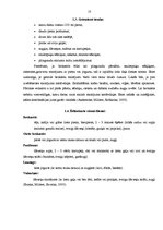 Referāts 'Sieviešu ēšanas paradumi un to iespējamās izmaiņas grūtniecības laikā', 11.