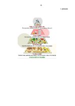 Referāts 'Sieviešu ēšanas paradumi un to iespējamās izmaiņas grūtniecības laikā', 40.