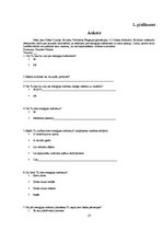 Referāts 'Jauniešu informētība un attieksme par enerģijas dzērieniem', 27.