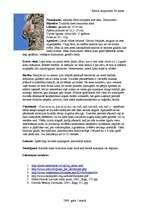 Konspekts 'Dzilnītis', 1.