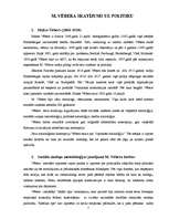 Referāts 'M.Vēbera skatījums uz politiku', 5.