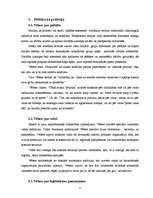 Referāts 'M.Vēbera skatījums uz politiku', 8.