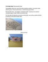 Konspekts 'Semiotika', 4.