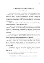 Referāts 'Vadīšanas stili un to ietekme uz uzņēmuma darbību', 5.