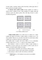 Referāts 'Vadīšanas stili un to ietekme uz uzņēmuma darbību', 7.