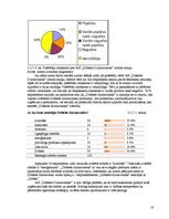 Referāts 'AS "Dobeles Dzirnavnieks" zīmola maiņas iemesli', 18.