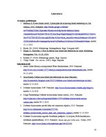 Referāts 'AS "Dobeles Dzirnavnieks" zīmola maiņas iemesli', 20.