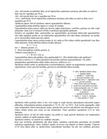 Referāts 'Ūdens apgāde un kanalizācija', 7.