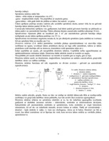 Referāts 'Ūdens apgāde un kanalizācija', 8.