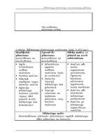 Referāts 'Mārketinga kontrolings un mārketinga pētīšanas loma tajā', 5.