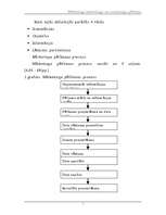 Referāts 'Mārketinga kontrolings un mārketinga pētīšanas loma tajā', 8.