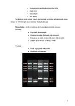 Referāts 'Fankoni anēmija', 7.