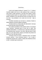 Konspekts 'Tamborējumu etnogrāfija', 2.