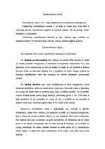 Konspekts 'Tamborējumu etnogrāfija', 3.