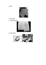 Konspekts 'Tamborējumu etnogrāfija', 5.