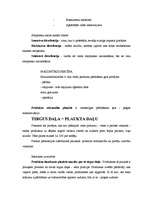 Konspekts 'Distribūcijas kanāli', 3.