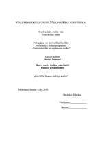 Referāts 'SIA XXL finanšu rādītāju analīze', 1.