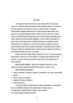 Referāts 'SIA XXL finanšu rādītāju analīze', 3.