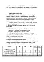 Referāts 'SIA XXL finanšu rādītāju analīze', 4.