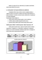 Referāts 'SIA XXL finanšu rādītāju analīze', 9.