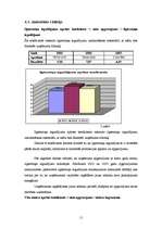 Referāts 'SIA XXL finanšu rādītāju analīze', 11.
