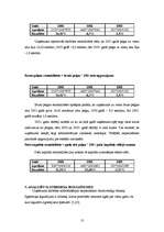 Referāts 'SIA XXL finanšu rādītāju analīze', 13.