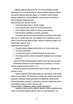 Referāts 'SIA XXL finanšu rādītāju analīze', 14.