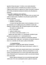 Referāts 'SIA XXL finanšu rādītāju analīze', 15.