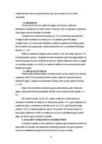 Referāts 'SIA XXL finanšu rādītāju analīze', 16.