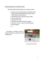 Referāts 'Ģeofizikālo izpētes metožu pielietošana, izpētot ģeoloģisko telpu starp urbumiem', 5.