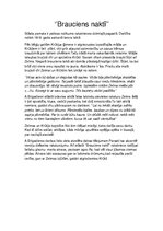 Konspekts 'Konspekts par stāstu "Brauciens naktī"', 1.