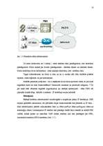 Diplomdarbs 'Interneta telefonija un tās pielietojums biznesa komunikācijās ', 16.