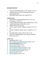 Diplomdarbs 'Interneta telefonija un tās pielietojums biznesa komunikācijās ', 80.