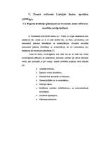 Referāts 'Zemes reforma', 8.