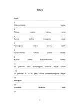 Referāts 'Kultūras teorijas daudzveidība', 2.