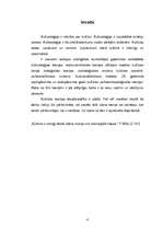 Referāts 'Kultūras teorijas daudzveidība', 4.