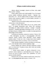 Referāts 'Kultūras teorijas daudzveidība', 6.