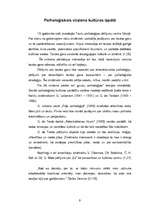 Referāts 'Kultūras teorijas daudzveidība', 9.