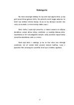 Referāts 'Kultūras teorijas daudzveidība', 17.