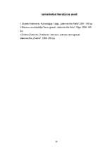 Referāts 'Kultūras teorijas daudzveidība', 18.