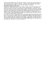 Eseja 'European Castles of the Medieval Era', 3.