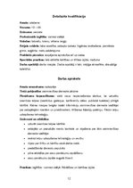 Referāts 'Viesnīcas "Provincia" raksturojums', 12.