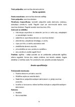 Referāts 'Viesnīcas "Provincia" raksturojums', 14.