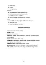 Referāts 'Viesnīcas "Provincia" raksturojums', 15.