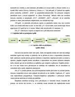 Prakses atskaite 'Organizatriskās prakses atskaite transporta un ekspedīcijas uzņēmumā', 5.