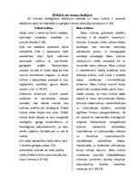 Referāts 'Kultūras tipoloģijas veidi', 4.